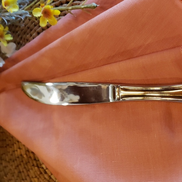 ESTIA GOURMET Cascade Floral SS Dinner Knife - NWT - Picture 7 of 8